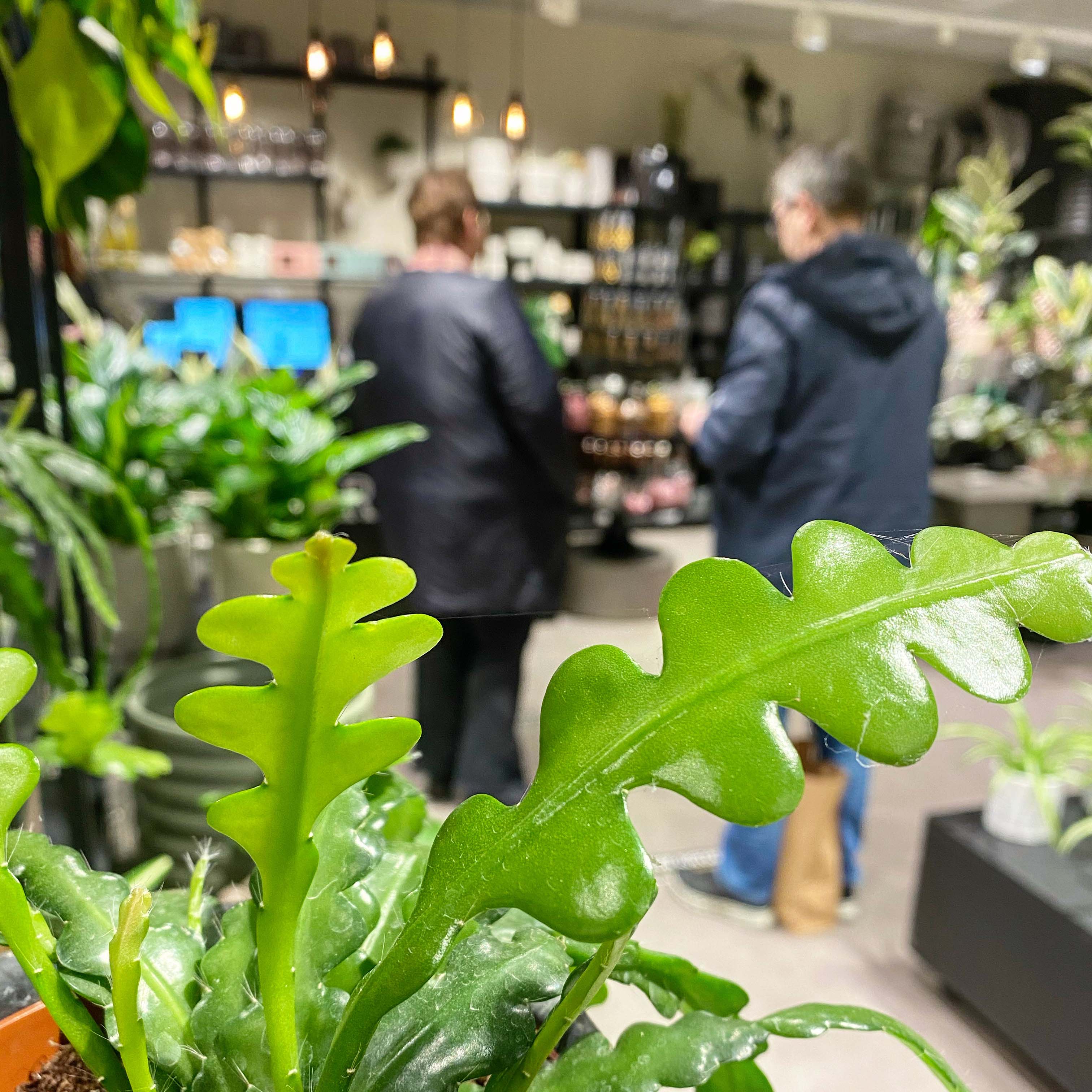Begge sentrene merker økt salg i alle bransjer, men spesielt høy økning ser man i kategoriene gaveartikler og klær.