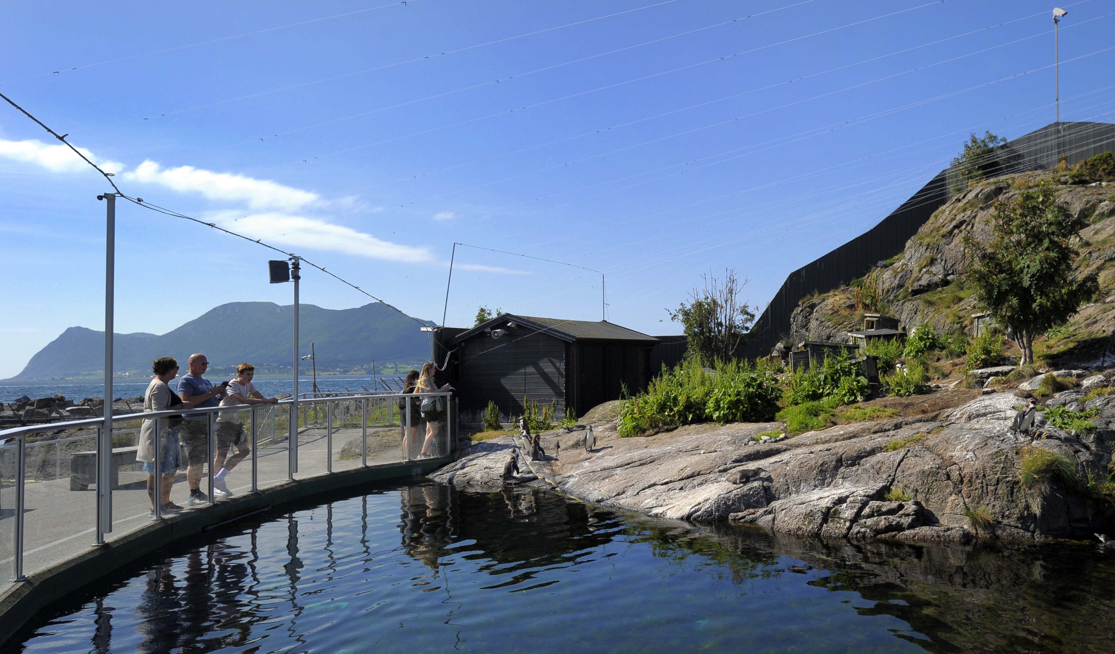 Turistene som besøker Atlanterhavsparken besøker gjerne pingvinene og selene ute.