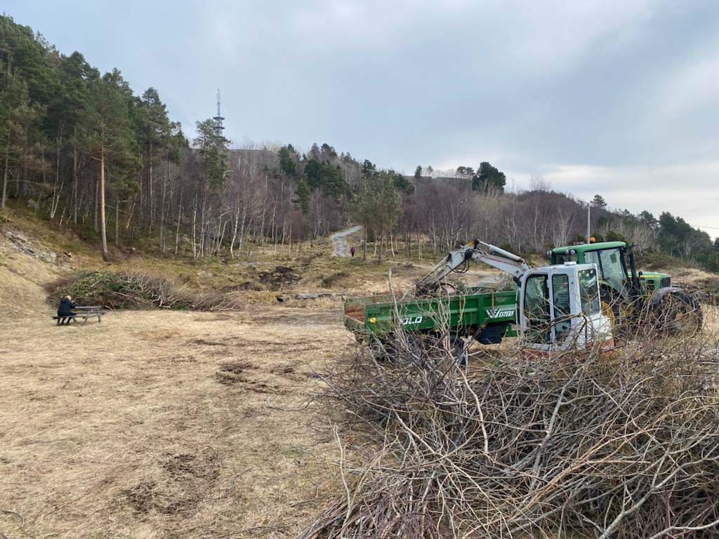 Aksla Vel har utført en stor jobb med å rydde området der dam 4 en gang lå. Nå er det snart konsertarena med Madgugada som første gjest.