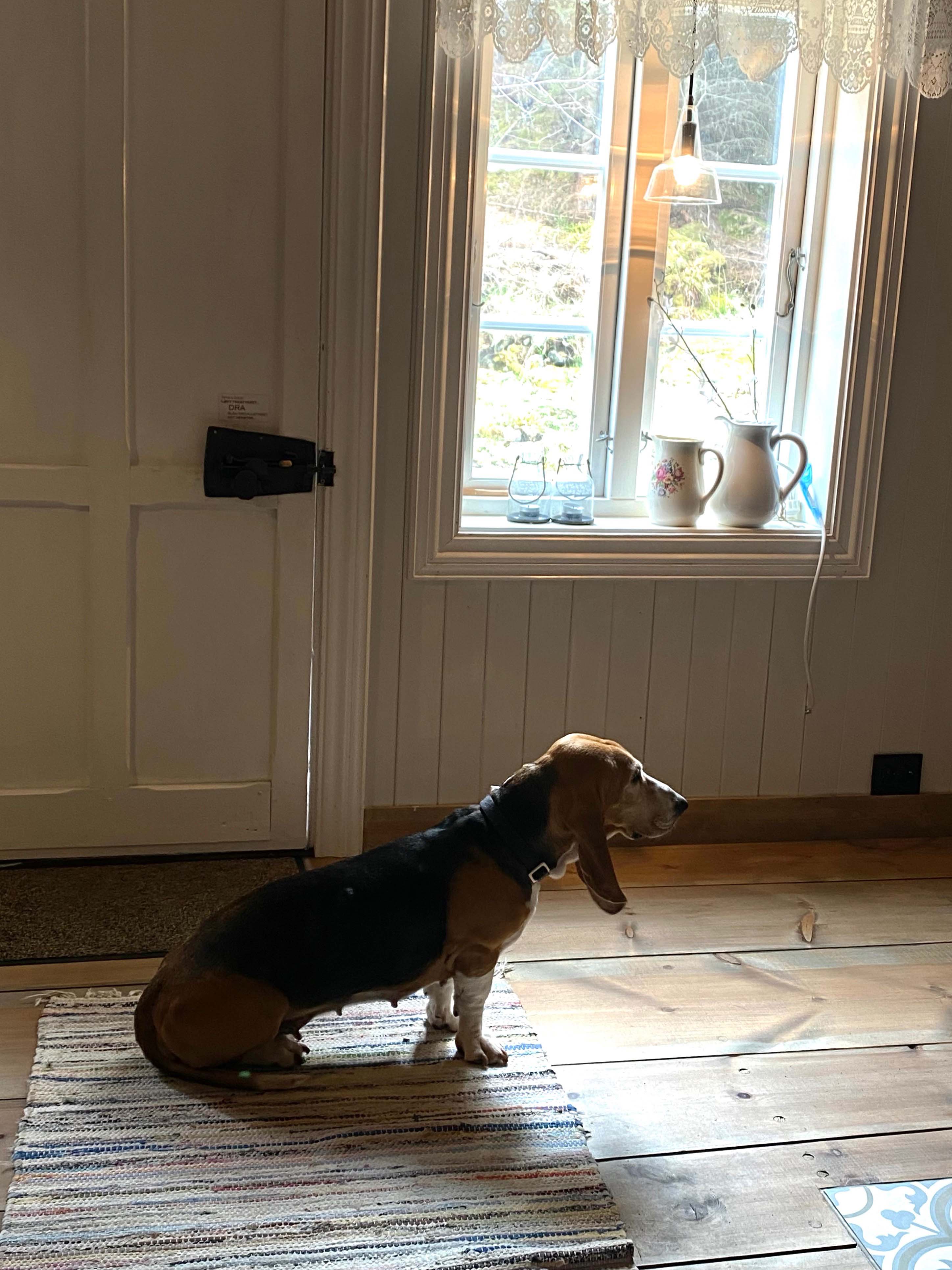 Ivergarden på Lepsøya