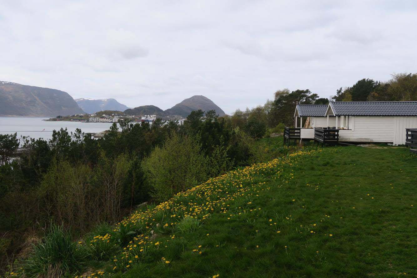 Kongen av campingplassen | Bypatrioten