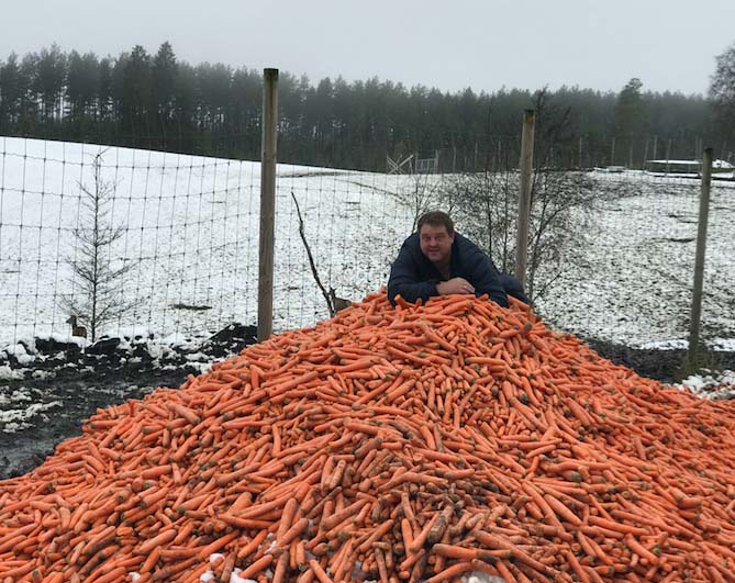 1,5 tonn gulerøtter som publikum kan ta med hjem. Lokalmatentusiast Nils Henning Nesje slår et slag for de skjeve grønnsakene!