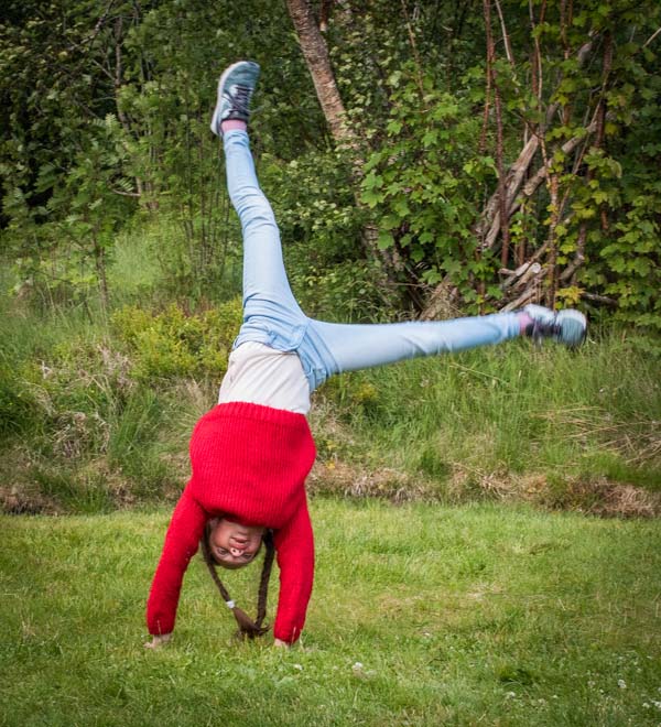 Full rulle på marka i Olsvika. Foto: Ellen Molvær