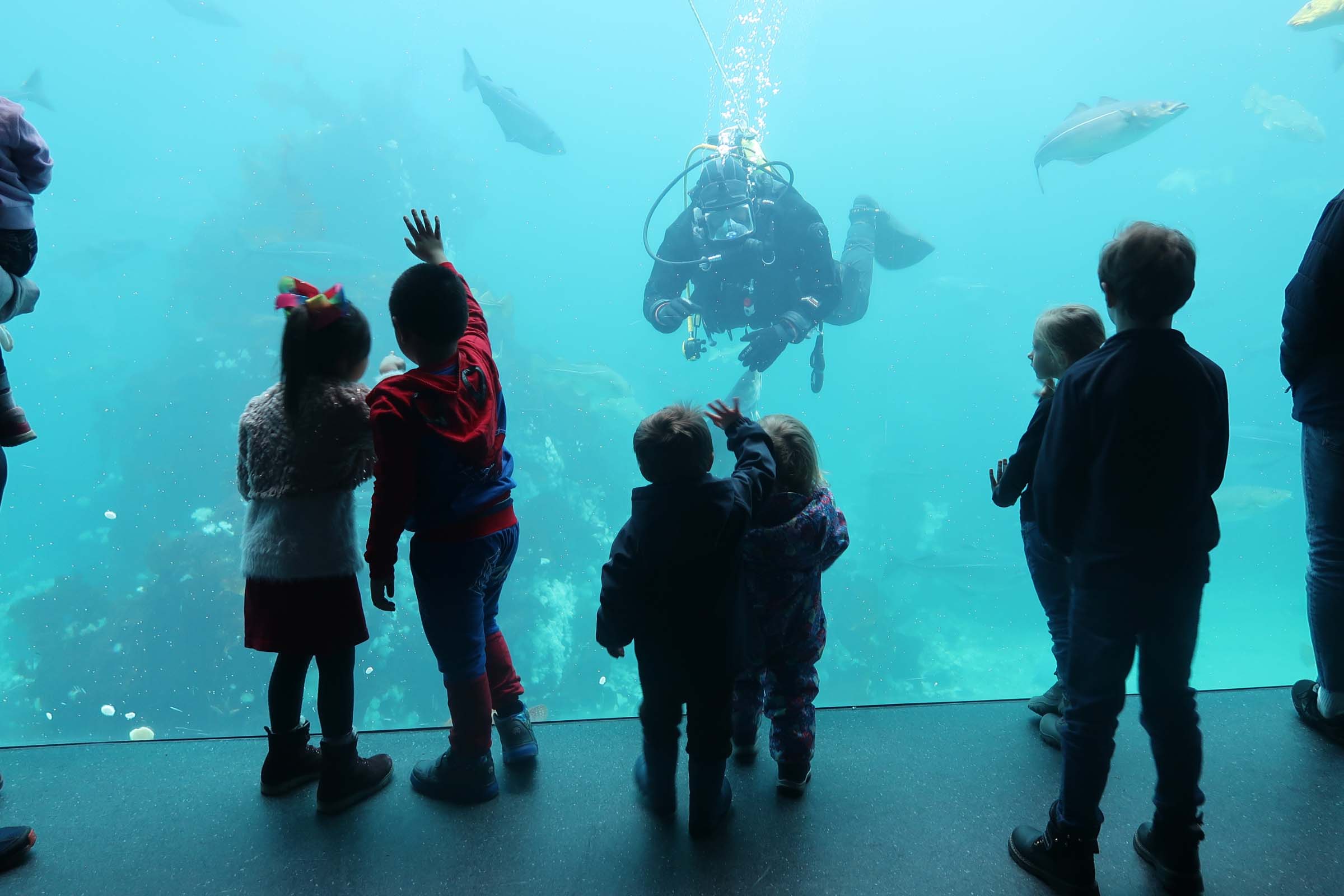7. Påskedager hos Atlanterhavsparken