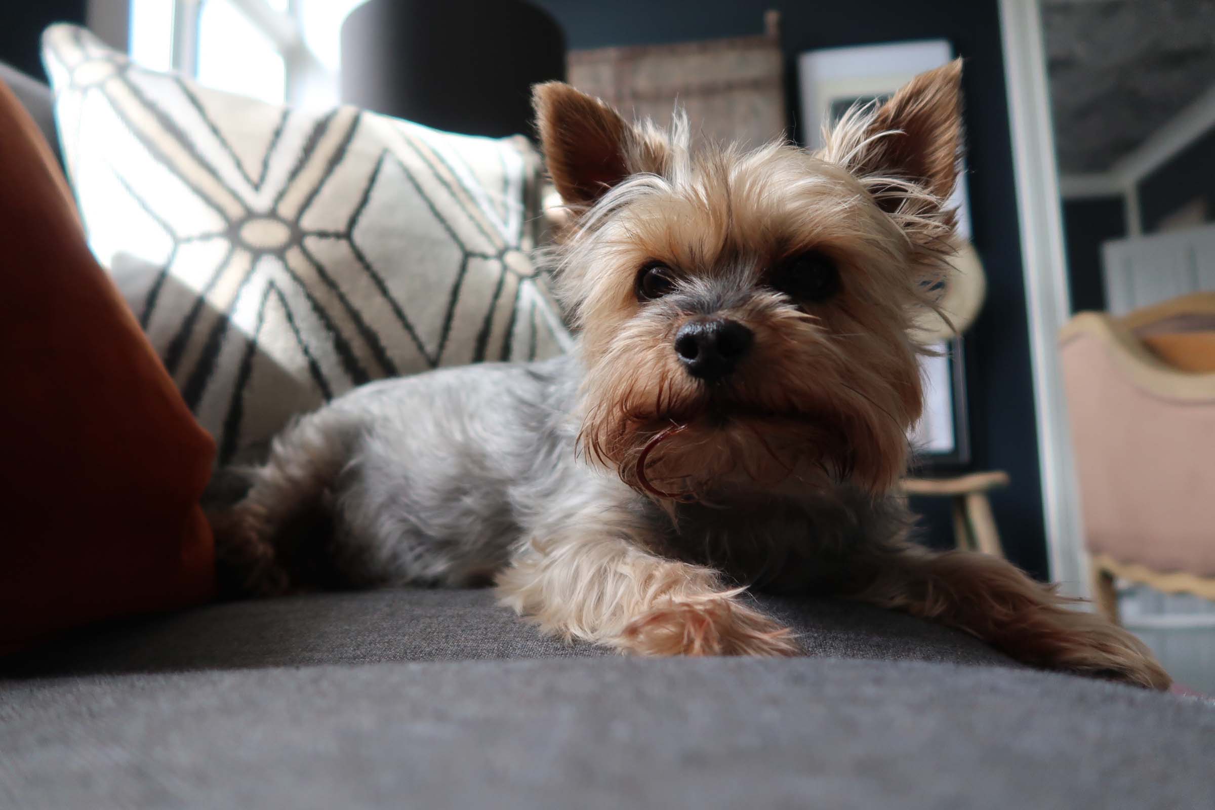 Vidar følger spent med på designprosessene!