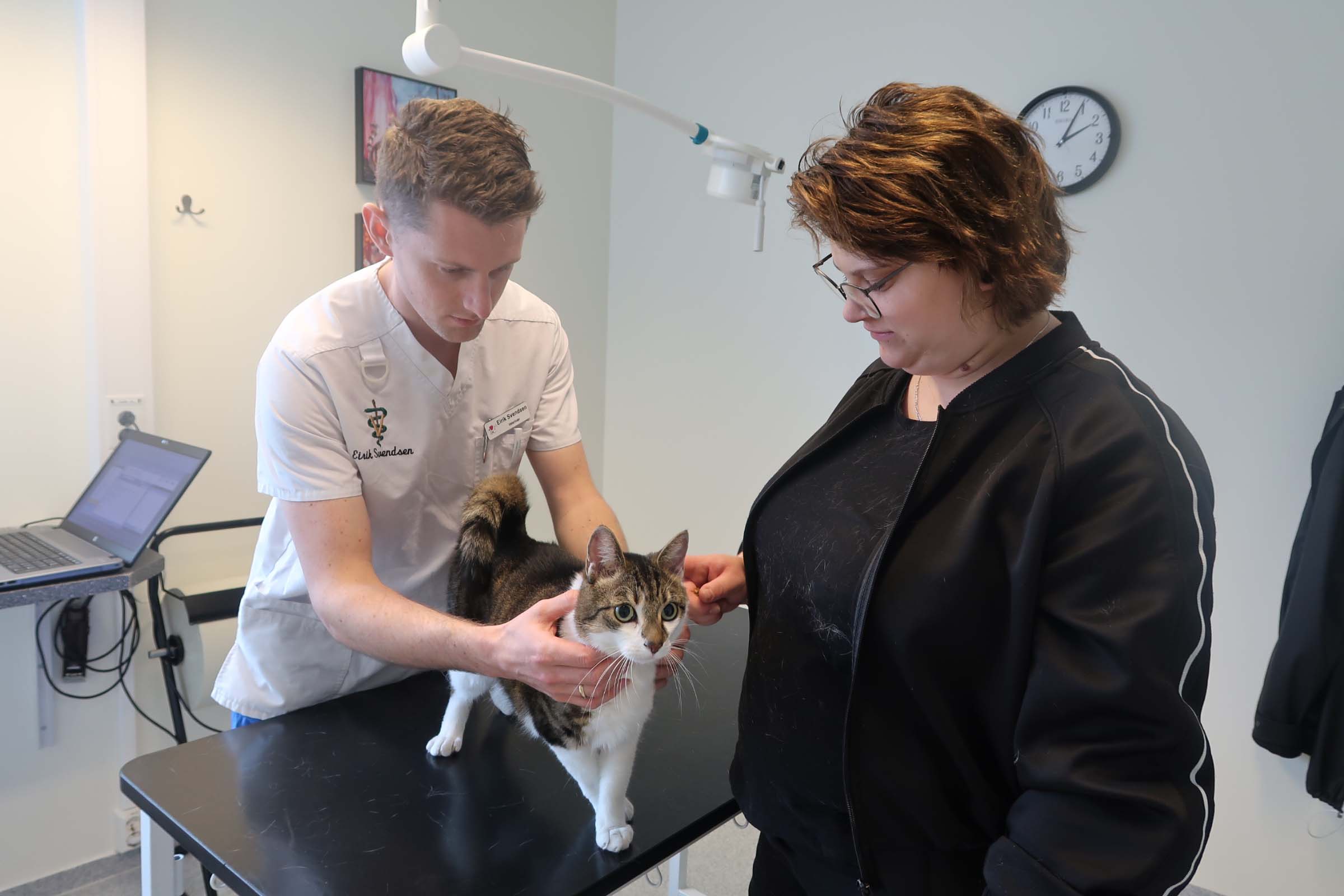 Her får Marias katt en undersøkelse av veterinær Eirik Svendsen.