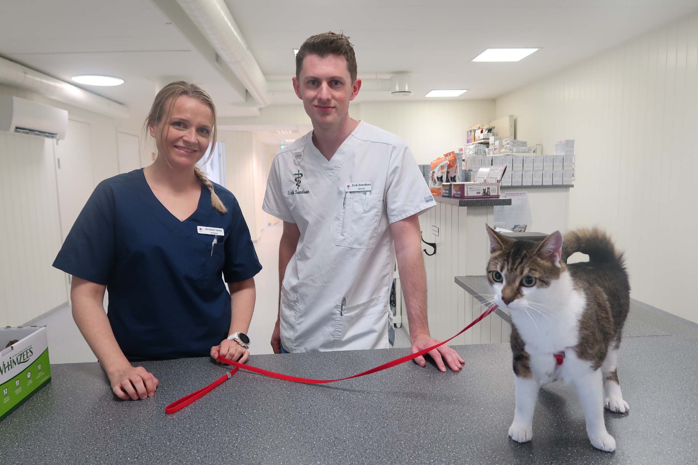 Kristine Tynes og Eirik Svendsen synes det er fint å starte opp dyreklinikken. Merethe, Eiriks kone, som også er veterinær, er for tiden hjemme i mammapermisjon.