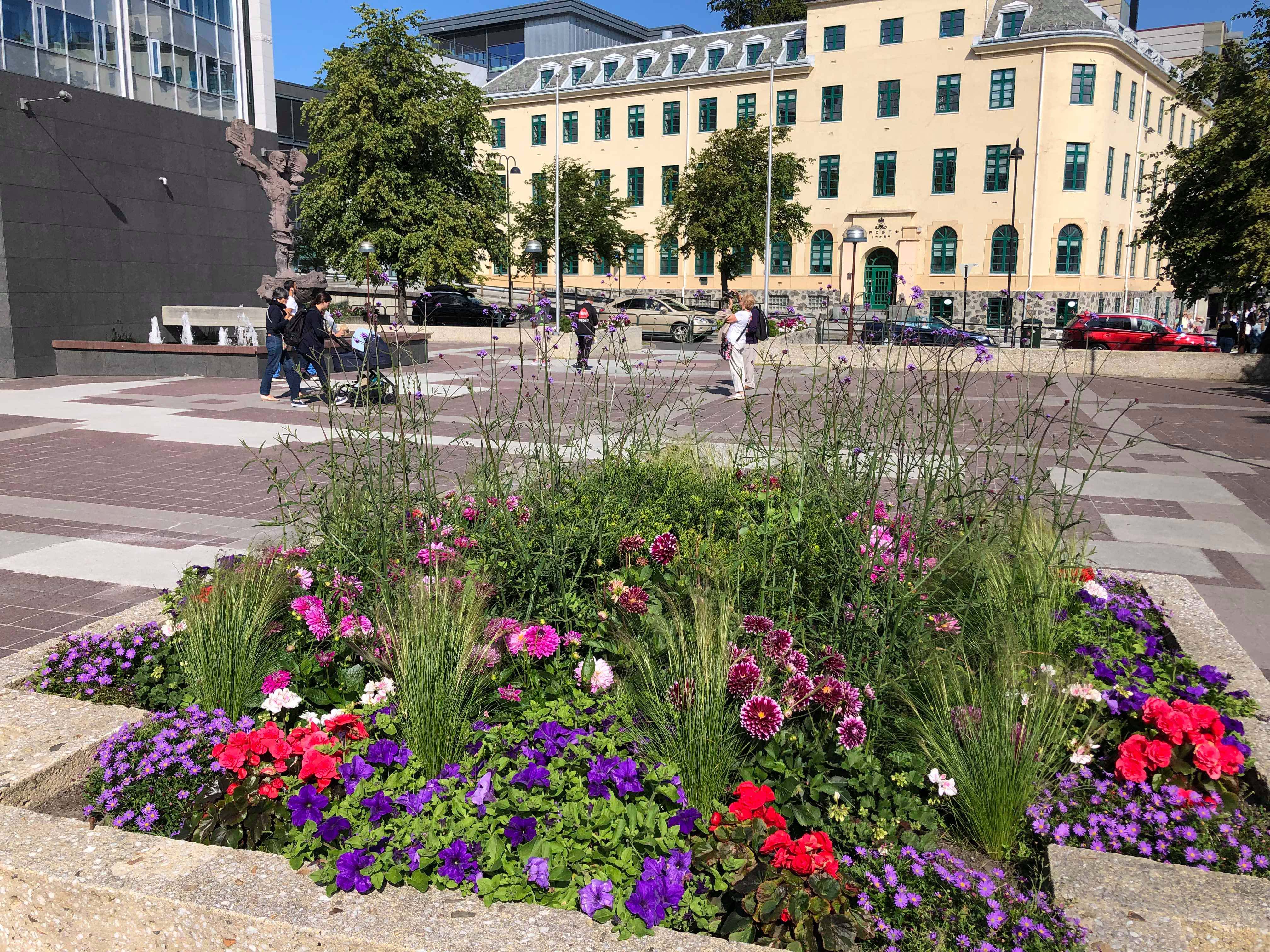 Det som skal bli Joachim H. Rønnebergs plass har etter hvert fått et fint miljø rundt seg. Også blomstene liver opp i bybildet, men en bør helst unngå å se ned.