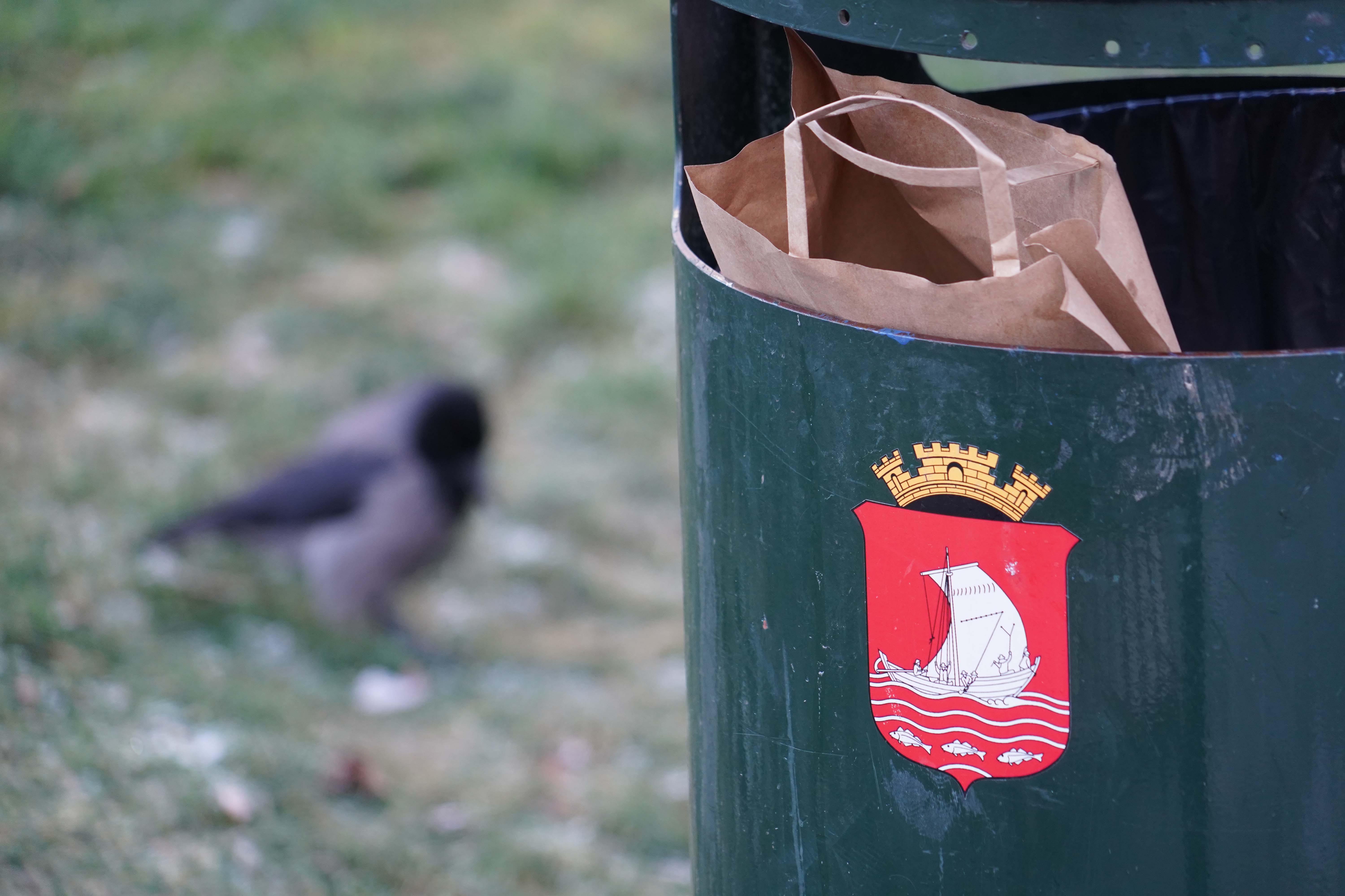 Fulle søppeldunker lager fort kråkefest...